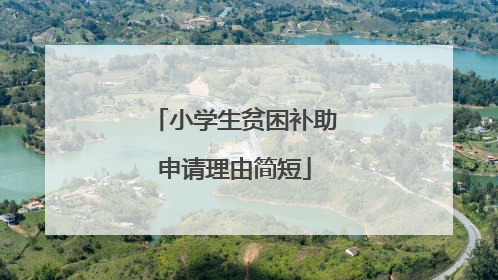 小学生贫困补助申请理由简短
