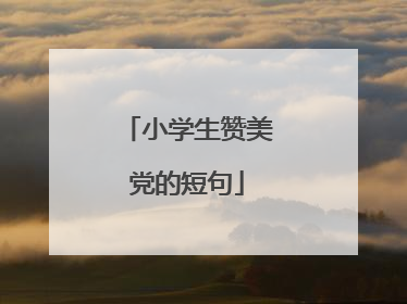 小学生赞美党的短句