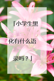 小学生黑化有什么语录吗?