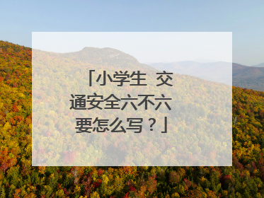 小学生￼交通安全六不六要怎么写？