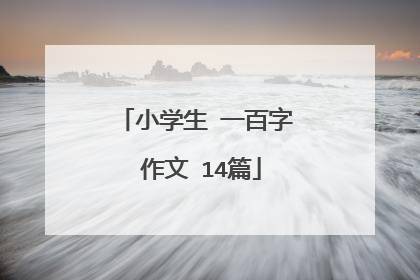 小学生 一百字 作文 14篇