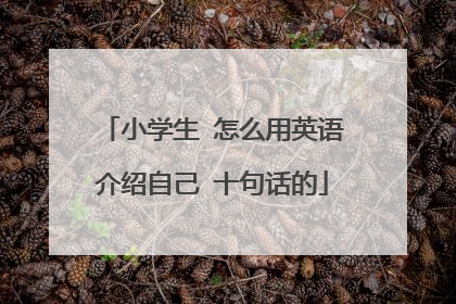 小学生 怎么用英语介绍自己 十句话的