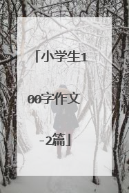 小学生100字作文-2篇