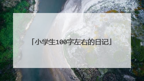 小学生100字左右的日记