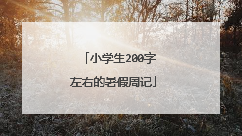小学生200字左右的暑假周记