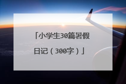 小学生30篇暑假日记（300字）
