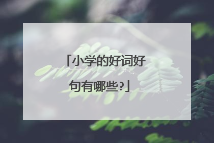 小学的好词好句有哪些?