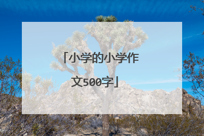 小学的小学作文500字