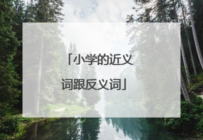 小学的近义词跟反义词