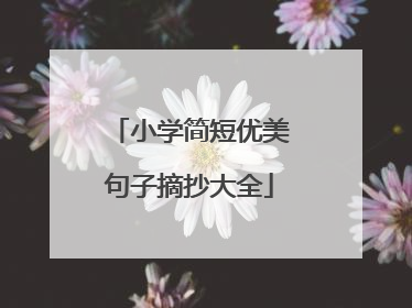 小学简短优美句子摘抄大全