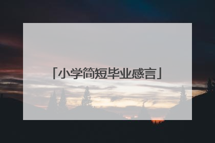 小学简短毕业感言