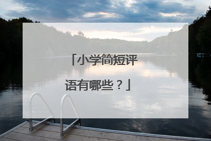 小学简短评语有哪些?