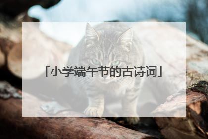小学端午节的古诗词
