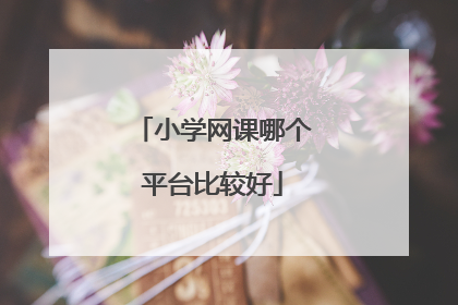 小学网课哪个平台比较好