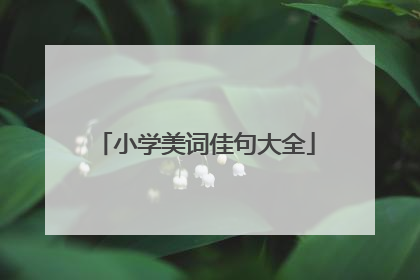 小学美词佳句大全