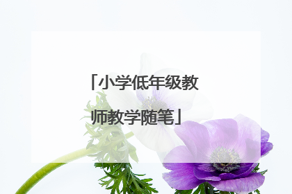 小学低年级教师教学随笔