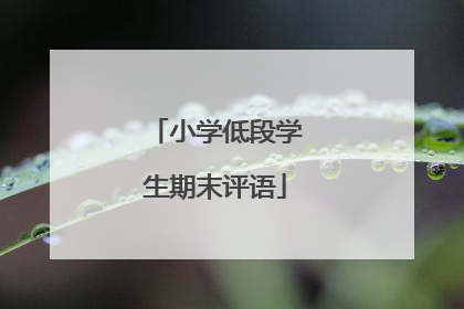 小学低段学生期末评语