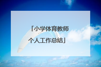 小学体育教师个人工作总结
