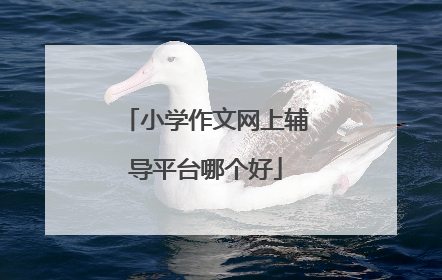 小学作文网上辅导平台哪个好