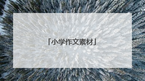 小学作文素材