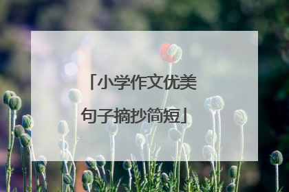 小学作文优美句子摘抄简短