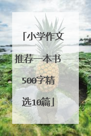 小学作文推荐一本书500字精选10篇