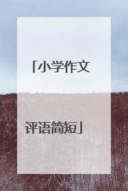 小学作文评语简短