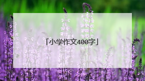 小学作文400字