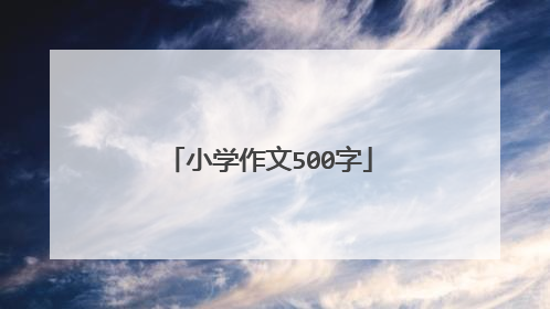 小学作文500字