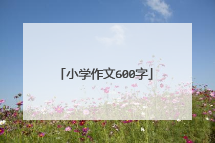 小学作文600字
