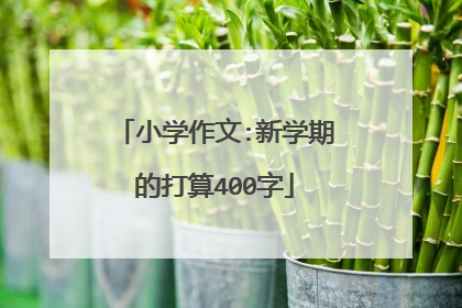 小学作文:新学期的打算400字