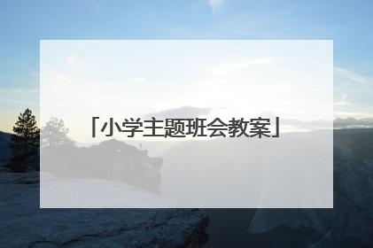 小学主题班会教案