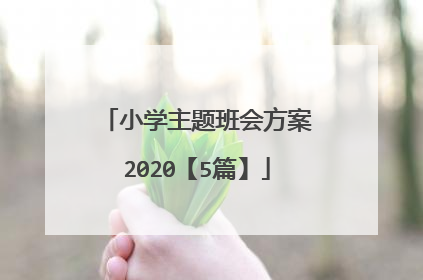 小学主题班会方案2020【5篇】