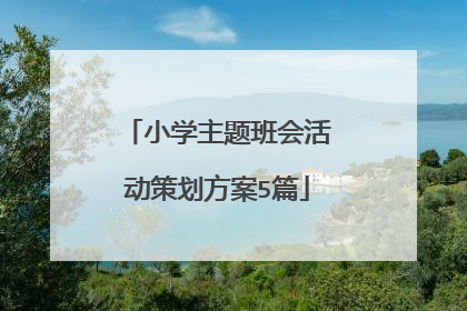 小学主题班会活动策划方案5篇