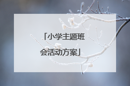 小学主题班会活动方案