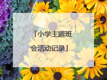 小学主题班会活动记录