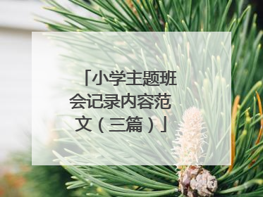 小学主题班会记录内容范文(三篇)