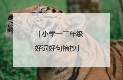 小学一二年级好词好句摘抄