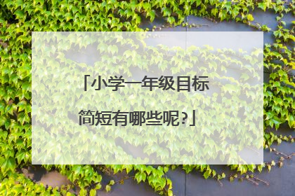 小学一年级目标简短有哪些呢?