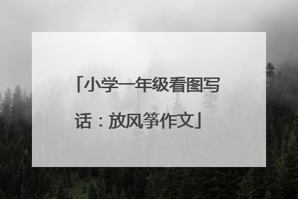 小学一年级看图写话：放风筝作文