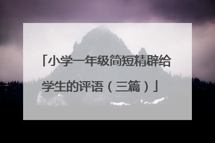 小学一年级简短精辟给学生的评语(三篇)