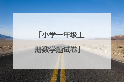 小学一年级上册数学题试卷