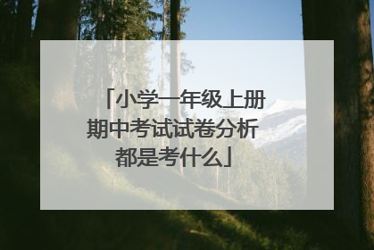 小学一年级上册期中考试试卷分析都是考什么