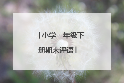 小学一年级下册期末评语