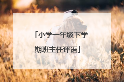 小学一年级下学期班主任评语