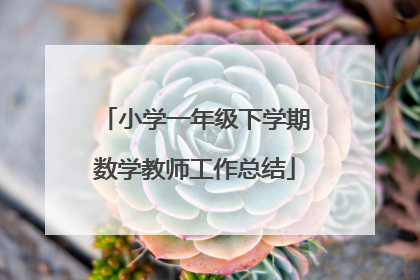 小学一年级下学期数学教师工作总结
