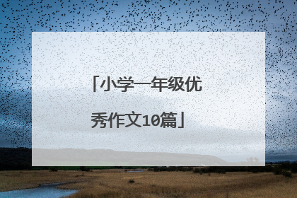 小学一年级优秀作文10篇