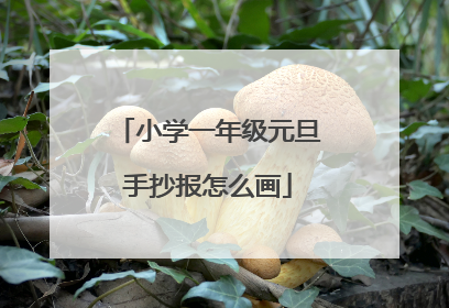 小学一年级元旦手抄报怎么画