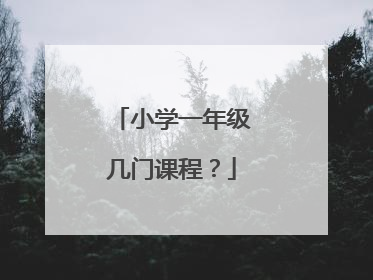 小学一年级几门课程?