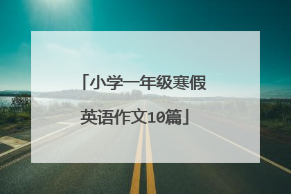 小学一年级寒假英语作文10篇